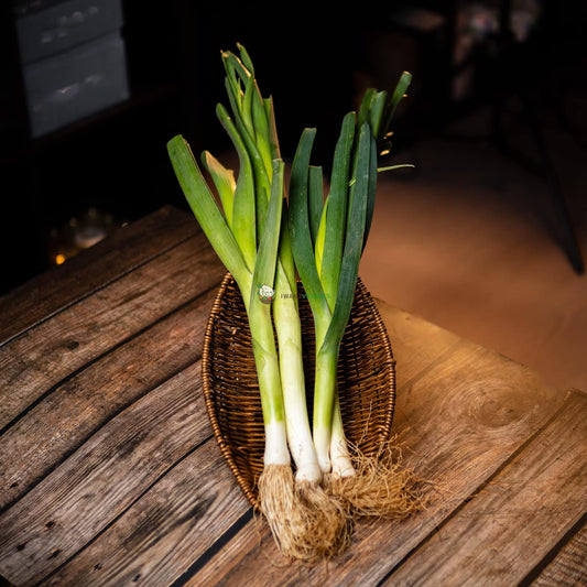 Leek 青蒜 (500G±)