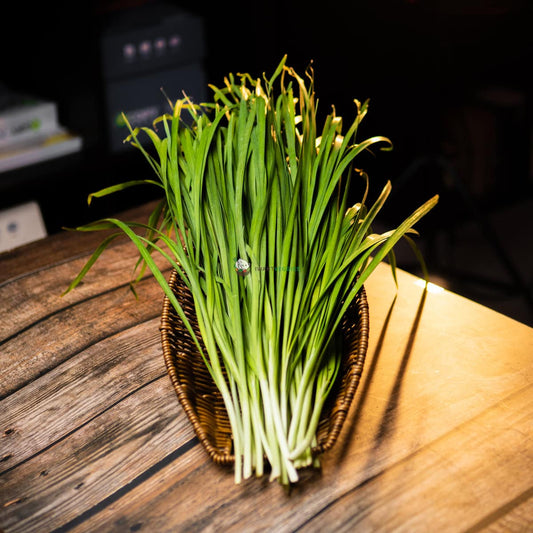 Malaysian Garlic Chive 马来韭菜 (300G±)