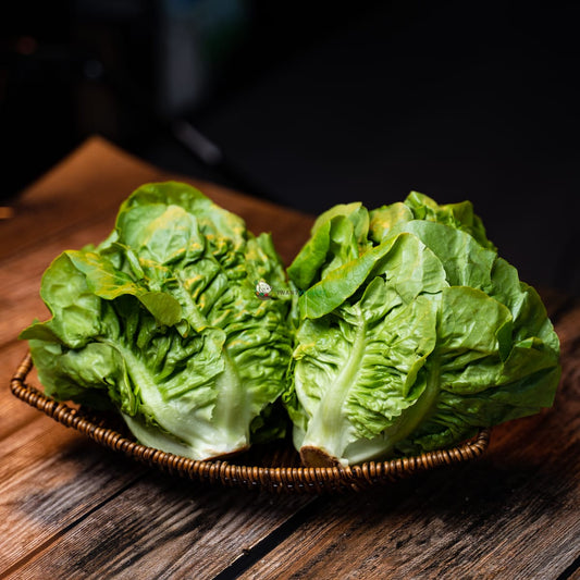 Two fresh romaine lettuce on a rustic basket over a wooden background. Green leaves with crisp texture and compact heads.