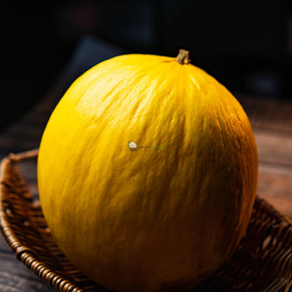 Sun Melon 太阳哈密瓜 (PCS/粒)