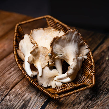 Abalone Mushroom 鲍鱼菇 150G± (PKT/包)