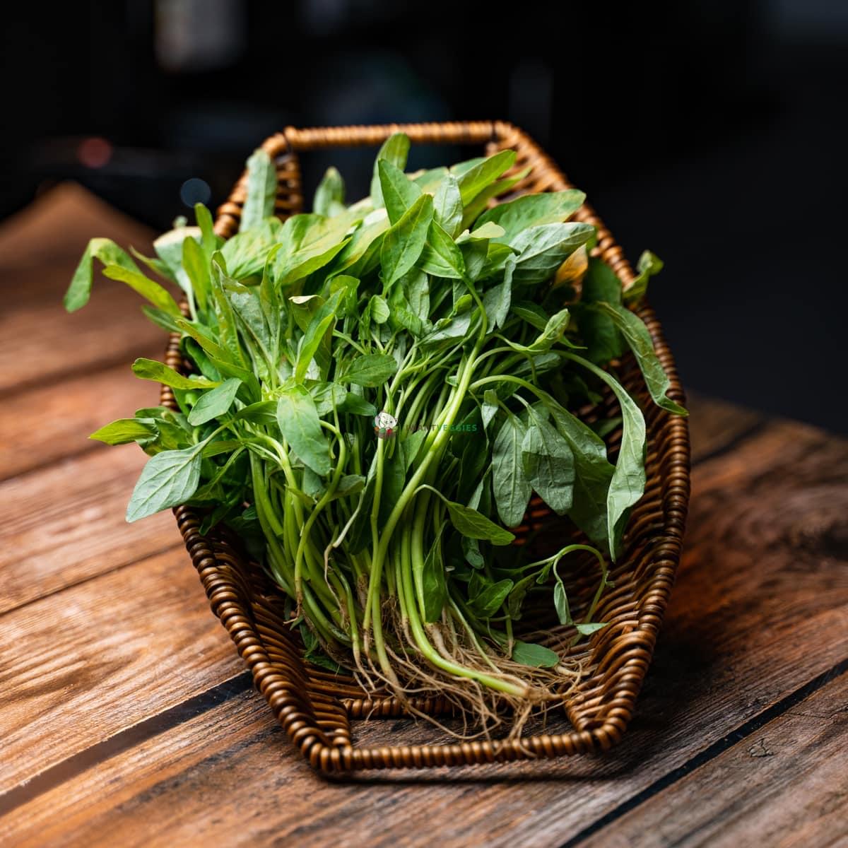 Baby Ceylon Spinach 苋菜苗 (500G±) – IWantVeggies