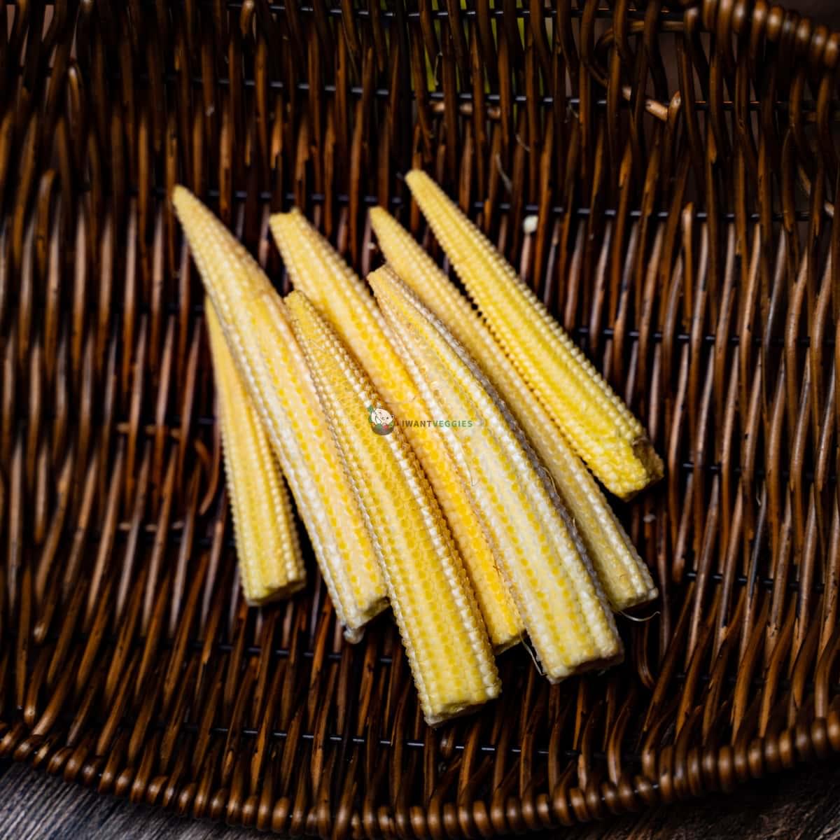 Baby Corn 玉米芯 (PKT/包)