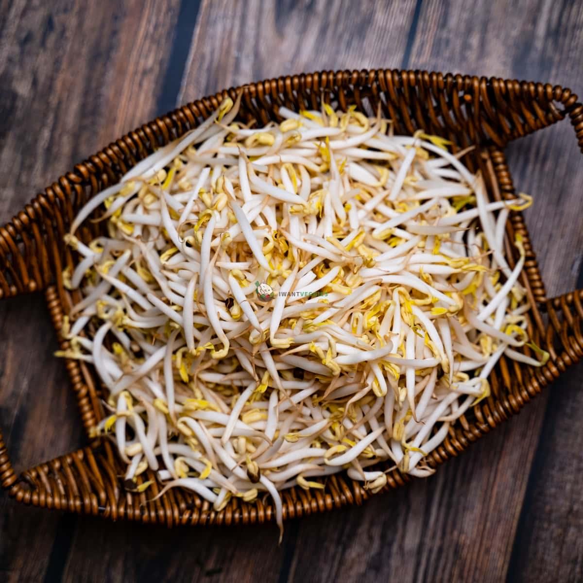 Bean Sprout 豆芽 (KG/公斤±)