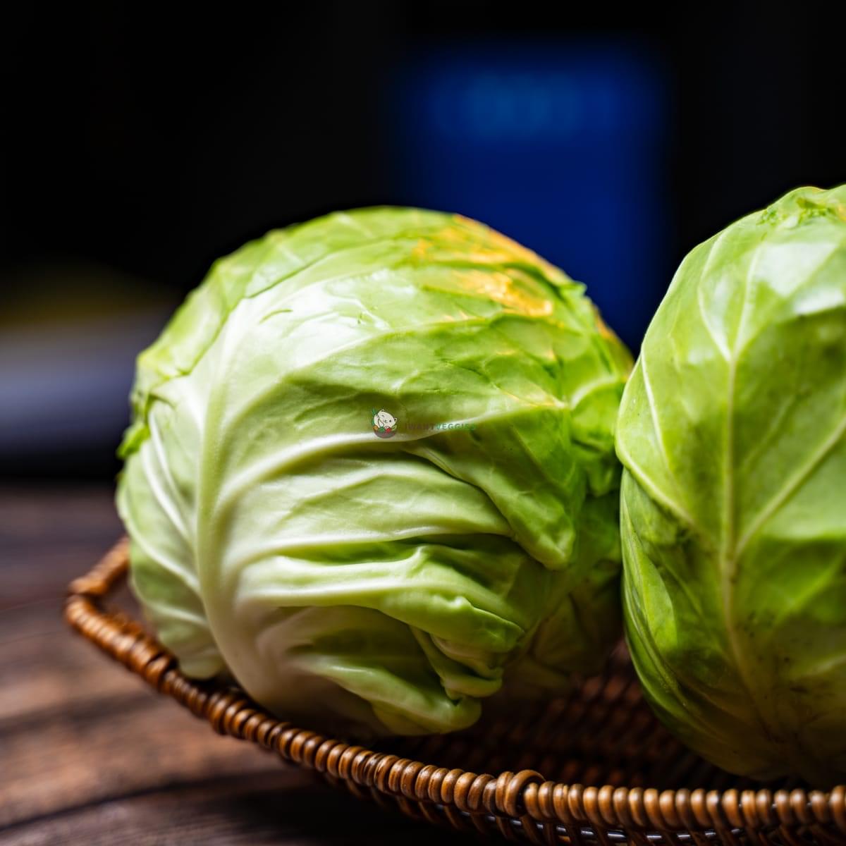 Beijing Cabbage 北京包菜 800G± (PCS/粒)