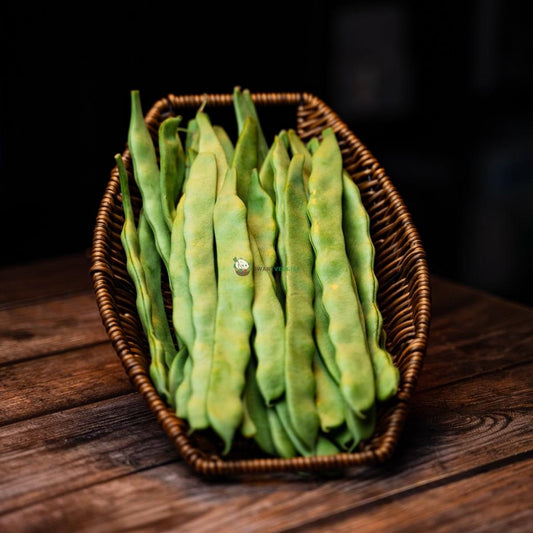 Broad Bean 扁豆 (500G±)