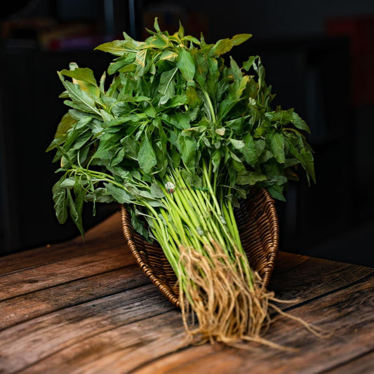 Ceylon Spinach 苋菜 (500G±)