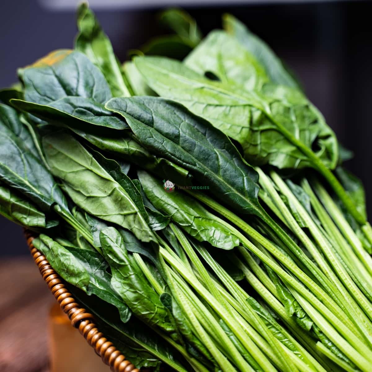 Chinese Spinach 中国菠菜 (500G±)