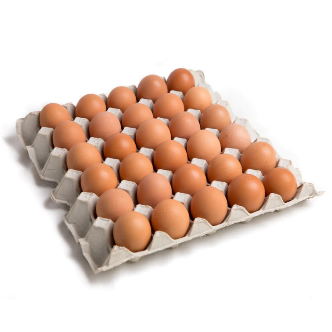 Fresh Eggs 新鲜鸡蛋 30PCS (TRAY/板)