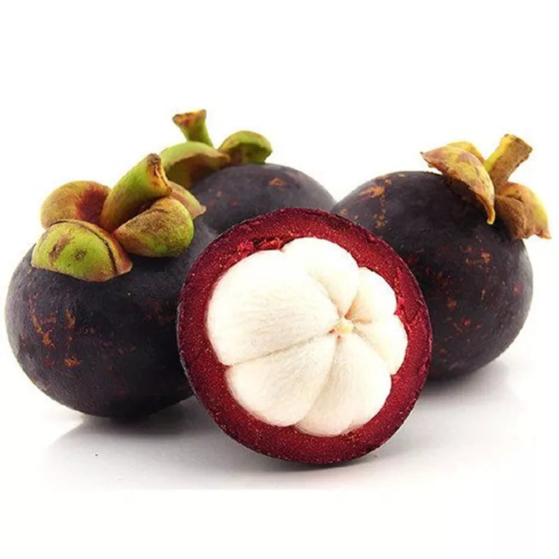 Mangosteen 山竹 1KG± (PKT/包)